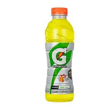 칠성 갈증해소 아미노산 게토레이 레몬 페트 스포츠음료 이온음료 600ML 20개, 18세트