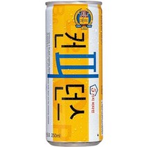 동아오츠카 컨피던스 탄산음료 250ml 캔 30입, 1set