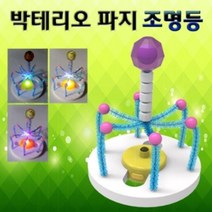 박테리오 파지 조명등 만들기 (1인용 작동완구 만들기 과학교구 조명등