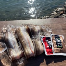 100%자연산 통영 대장어 바다 장어 손질완료 기력보충, 자연산 통영장어 2kg