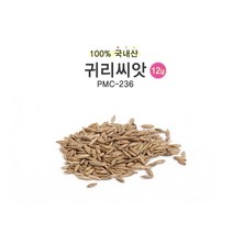 캣그라스 고양이 풀 귀리 씨앗 키우기 5개 귀리키우기, 수량, 7개
