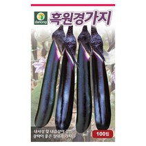 노각 오이 씨앗 50립 - 웰빙오이 늙은오이 오이씨앗 야채씨앗 채소씨앗 채소재배 종묘 종자 베란다 텃밭 씨 씨앗 호박 방울토마토 수박, 01_다농_흑원경 가지(100립)