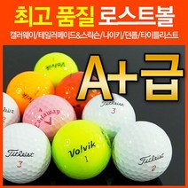 타이틀리스트 유명브랜드 A+급 로스트볼 흰볼 칼라볼 골프공 캘러웨이/타이틀리스트/나이키/테일러메이드/던롭/볼빅, FREE, 토탈브랜드A+ 칼라30알