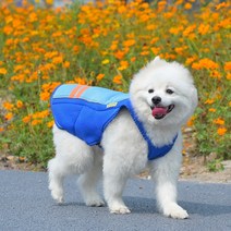 강아지 중형견 대형견 쿨링 워터 메쉬 여름 쿨조끼, 블루