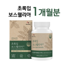 초록입홍합 보스웰리아 하루 두알 보스웰릭산 초록 홍합 우슬 버드나무 껍질 치커리 홈쇼핑 영양제 프리미엄 성분 가격 효능 비교 부모님 엄마 아빠 선생님 등산 선물, 1개월분, 1000mg x 60정 (하루두알)