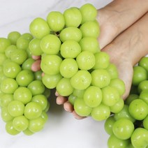상주 샤인 망고포도 씨없는포도 청포도 샤인머스켓 2kg 에어팩포장, 푸 상주 직송 샤인머스켓 4kg 에어팩포장, 1개