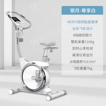 스핀 실내 사이클 유산소 헬스 운동 홈짐 엑스 자전거 바이크, A