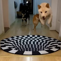 특이한 착시현상 미끄럼방지 원형 거실 발매트 120cm