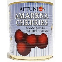 선인 아마레나 체리 1Kg, 탁월한♥선택!
