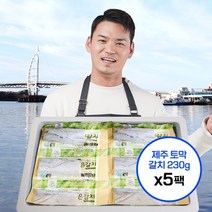 제주의정 제주 은갈치 1.15kg 토막 세척 산지직송, 230g, 5팩