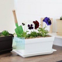 베란다 텃밭 가꾸기 도시농부 상추 키우기 원예 소형 화분 국산, 브라운
