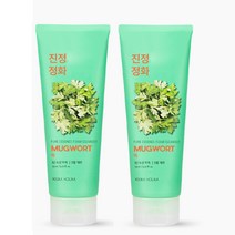 [홀리카홀리카]퓨어 에센스 쑥 폼 클렌져 기획 SET_2개 (150mlx2), 1개, 150ml*2
