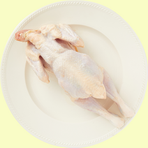 염지 삼계 닭 도매 유통 영계 생닭-55호 30수 대량 옛날통닭, 4각_핫염지 | 1진공..