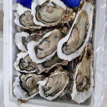 통영직송 당일채취 세척 굴 석화굴 하프셀 5kg 10kg, 01_석화(각굴) 5kg