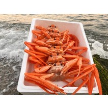 오늘조업오늘배송 수율80% 구룡포 연지홍게홍게 대게 꽃게 게 킹크랩, A급 꽉찬 홍게 수율80%:3kg(9-11