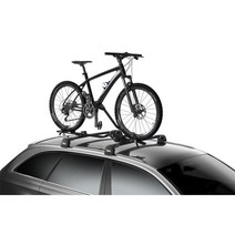 THULE 툴레 598 프로라이드 블랙 자전거 지붕 캐리어, 1개