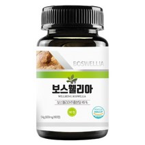 보스웰리아 강황 가자 차세대 2세대 코스트코 홈쇼핑 복합물 성분 효능 먹는 법 복용법, 강황분말 2kg 대용량