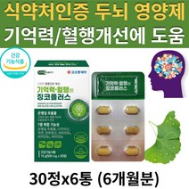 (현이) (현이샵) 식약처 인증 혈행엔 징코 은행잎추출물 두뇌 뇌 혈관 건강 기억력 혈행 개선 에 좋은 도움을 주는 플라보놀배당체 영양제 부모님 어르신 선물 추천 GINKGO, 6통