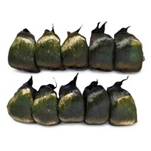 웰메이드 남해안 고흥 원조 찰매생이 박스, 10입(냉동), 350g~400g