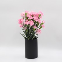 미니 카네이션 (스프레이) 모음 꽃정기구독 생화택배 (고속터미널꽃시장 직배송) 꽃예꽃, 노랑, 비슷한 느낌의 꽃으로 변경(다른꽃or다른색), 월요일 구매시 (수~목요일 도착)