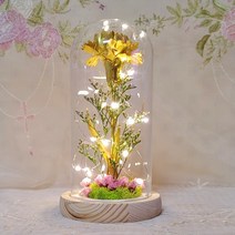 LED 크리스탈 홀로그램 무드등, 골드