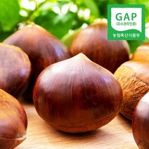 [GAP인증] 산지직송 충남 공주 정안 옥광밤 2kg(대), 단품