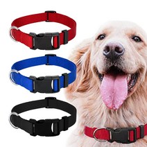 대형견목줄 중형견목줄 소형견목줄 리트리버목줄 진돗개목줄 웰시코기목줄 닥트훈트목줄 푸들 시츄목줄 시바목줄 반려견목줄 강아지목줄, 블루