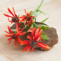 써클에키나세아가지o 74cm 조화 FAIAFT, 레드