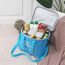 6L 회사 야유회 소풍 피크닉 아이스가방 이유식 쿨백
