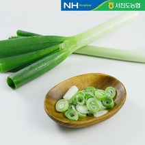 [KT알파쇼핑][미소드림] 서진도농협 진도 특산품 국내산 손질 대파 3단 (3kg)