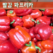 못난이 파프리카 빨강 상 1KG