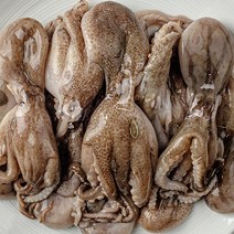 새벽조업당일발송 서해안 활주꾸미 쭈꾸미 쭈꾸미볶음 샤브샤브쭈꾸미, 활 주꾸미 2kg