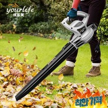 고출력 낙엽 산업용 먼지 블로워, 01