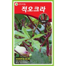 그린비타 풋고추 50립 - 씨 씨앗 오이고추 아삭이고추 고추씨앗 고추씨 채소씨 채소씨앗 오이고추씨앗 아삭이고추씨앗, 06_다농_적오크라(50립)