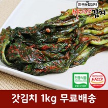 한국농협김치 국산 재료 진안 마이산 갓김치 1kg, 단품