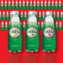 안전한생수 트레비 탄산수 라임 자몽 레몬 300ml 3종 세트 60페트, 트레비 탄산수 3종 60개