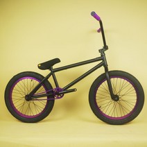 푸른담아 비엠엑스 BMX 자전거 20인치 묘기자전거 SHOWKE20 고급형, 티타늄색