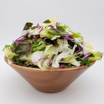 전재료 국내산 100% 의령농산 건강채소 어린잎 믹스 샐러드 500g