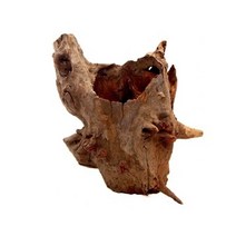 그루터기 유목 1개 랜덤(소/15-20cm) / 수초꾸미기 수초디스플레이 자연유목 잔뿌리