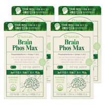 식약처인증 포스파티딜세린 뇌 두뇌 수험생 영양제 기억력 인지력 개선 징코 은행잎 추출물 혈액순환 건강기능식품, 브레인 포스파티딜세린 4개