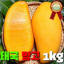 당일 수확 직수입 특고당도 태국산 골드망고 1kg 2kg 3kg 골라담기, 상세페이지 참조