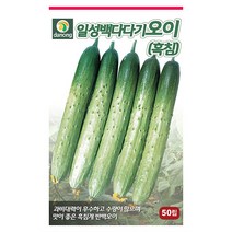 노각 오이 씨앗 50립 - 웰빙오이 늙은오이 오이씨앗 야채씨앗 채소씨앗 채소재배 종묘 종자 베란다 텃밭 씨 씨앗 호박 방울토마토 수박, 05_다농_일성백다다기 오이(흑침)(50립)
