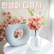 탄생화 디퓨저 선물 세트 4월 탄생화 벚꽃 남자 친구 여자 친구 남사친 여사친 언니 선생님 직장동료 생일선물 집들이선물 결혼선물 실내 디퓨저 실내 방향제 디퓨져, 아카시아, 500ml