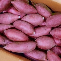 껍질째 바로먹는 애플 고구마 애플구마 3kg 5kg 10kg 특상, 애플구마 특상 5kg