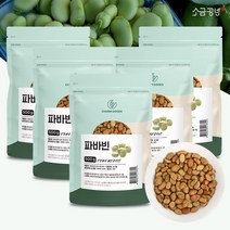 소금공방 자이언트 파바빈 파바빈콩 잠두콩 100% 식물성 단백질 원물 500g, 5팩