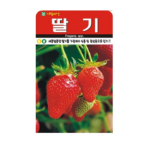 딸기 씨앗, 5개