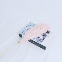 대형 화분 큰팜파스 잔디 말린 꽃 푹신한 자연 홈 보헤미안 장식 국가 웨딩, 06 F_01 5pcs
