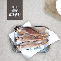 반건조 침조기 반찬용 10마리 27cm 30cm (망미중앙시장 부자생선), 침조기27cm  10마리
