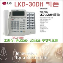 엘지 키폰 LDK-30D, 1개