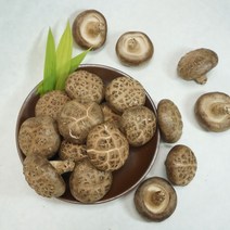 국내산 범실농원 표고버섯 상품 2kg, 1개